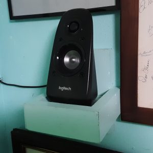 Surround Sound Speaker on Custom Shelf