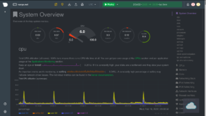 NetData screen capture with dials and graphics