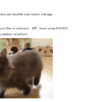 Cute kitten default HTML from Custom Webapp