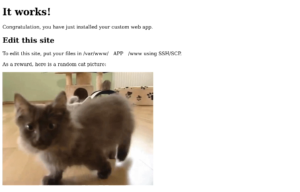 Cute kitten default HTML from Custom Webapp
