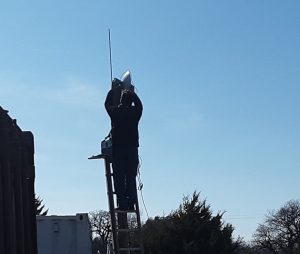 Man with dish at top of pole.