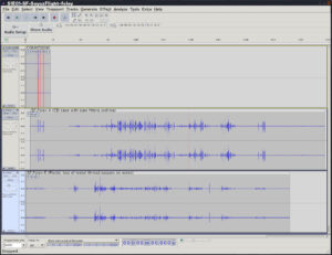 Audio from Foley Session in Audacity